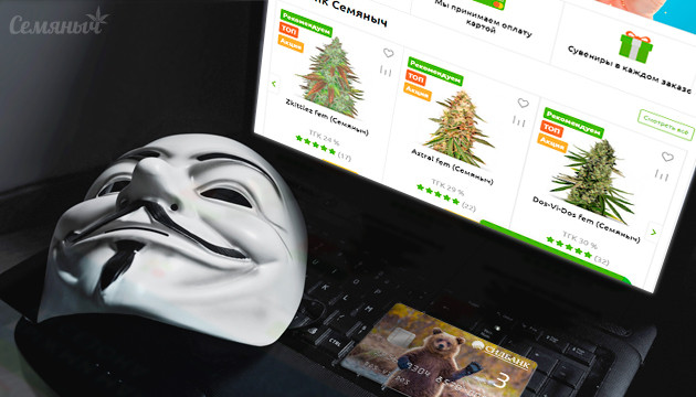 Покупка семян каннабиса в магазине Семяныч