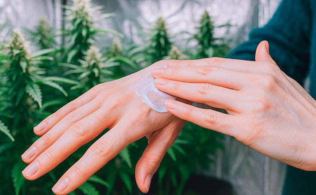 Использование карена в качестве противовоспалительного и болеутоляющего средства Противовоспалительные и болеутоляющие свойства