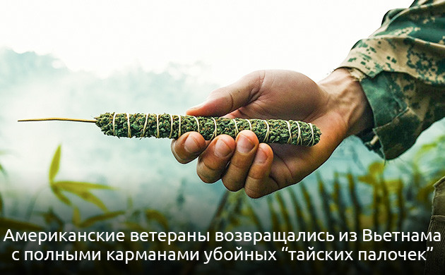 Тайские ландрейсы: уникальные растения Происхождение и особенности thai ландрейсов