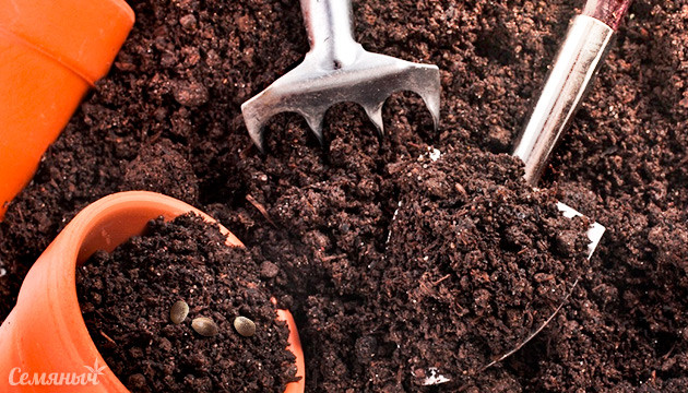 Повторное использование субстрата для выращивания марихуаны Повторное использование субстрата для выращивания каннабиса