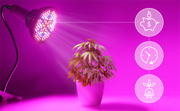 Преимущества LED ламп