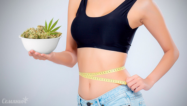Конопля и метаболизм