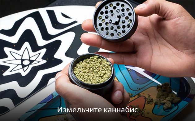 Измельчение конопли под Свишер Блант