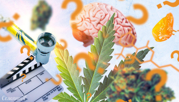 Квиз про каннабис