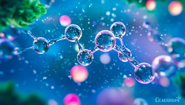 Виды и роли гормонов конопли