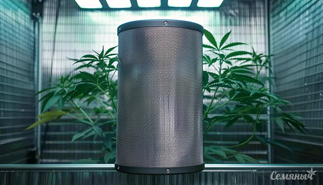 Преимущества и особенности использования угольных фильтров в выращивании каннабиса