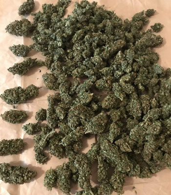 Собранные шишки Jack 47 Auto