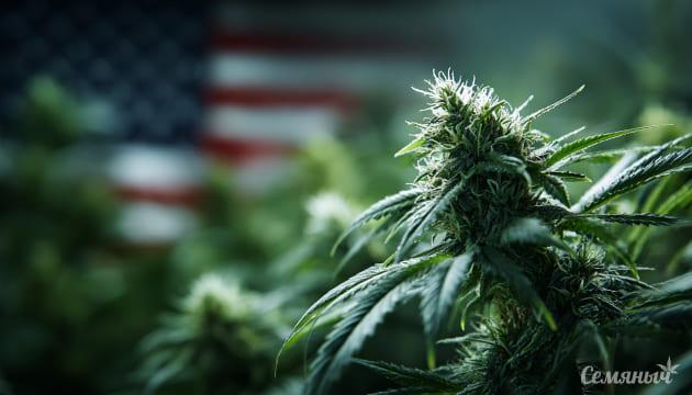 Каннабис обгоняет табак в США