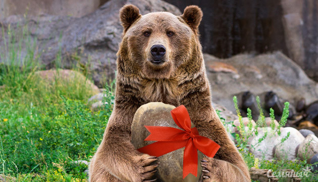 Акция досвидос