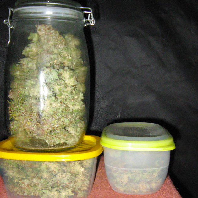 Сухой урожай