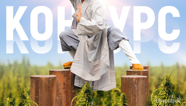 Тренировка кустов