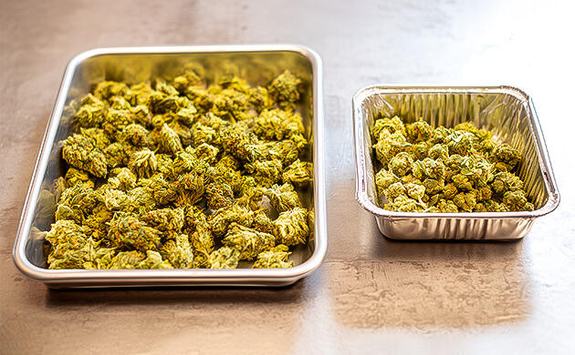 Урожайность RS11