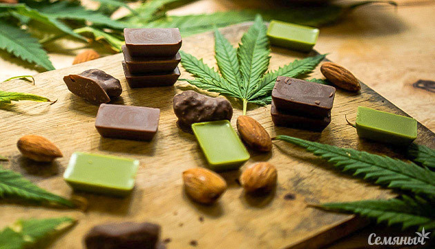 Разнообразие шоколада с коноплей