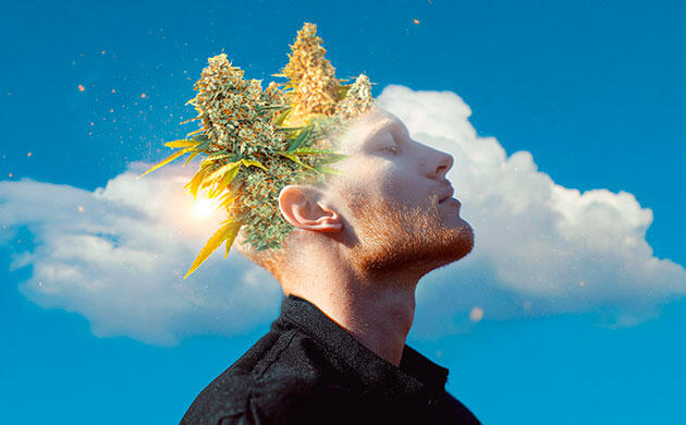 Влияние ТГК на нейронные связи головного мозга