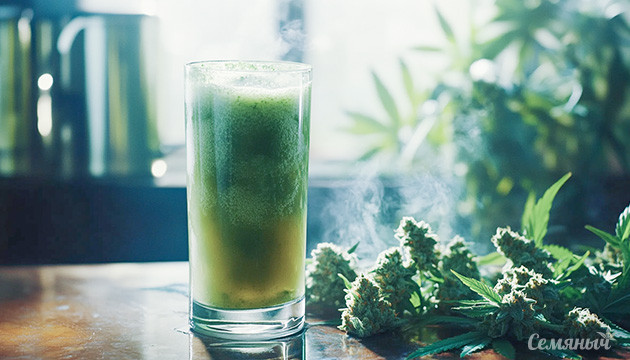 Канна-кухня: конопляный фреш