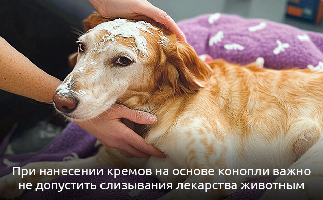 Мази и кремы для питомцев с каннабисом Мази и кремы с каннабиноидами для питомцев