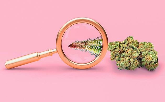 Структура марихуаны