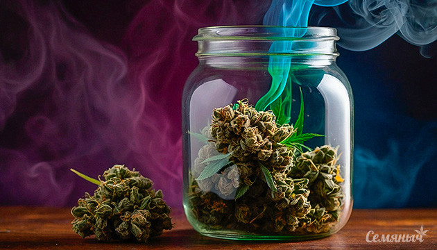 Секреты качественной пролечки марихуаны