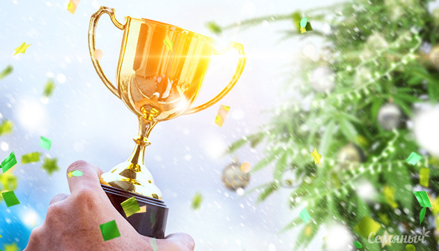 Кубок за лучшую канна-елку