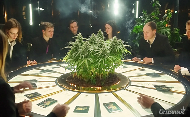 Квиз на знания знания о канна-мире