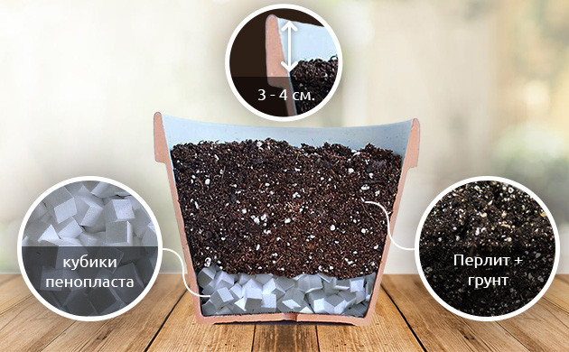 Состав грунта для конопли