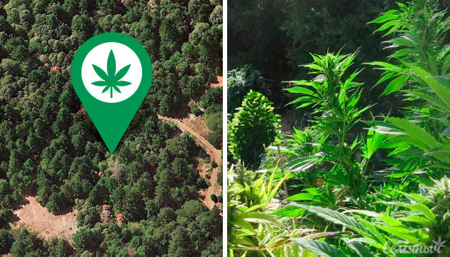 Выбор места