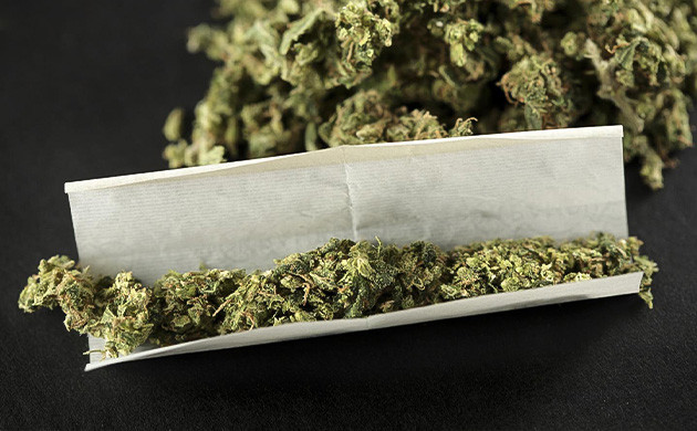 Шишки и папиросная бумага