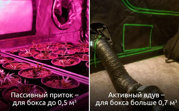 Пассивная и активная вентиляция гроубокса