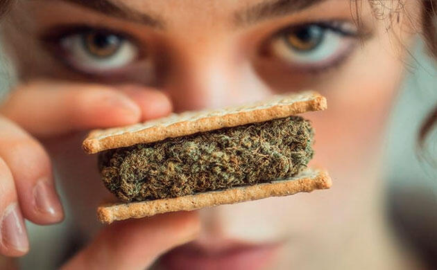 Как каннабис может помочь при воспалительных заболеваниях кишечника