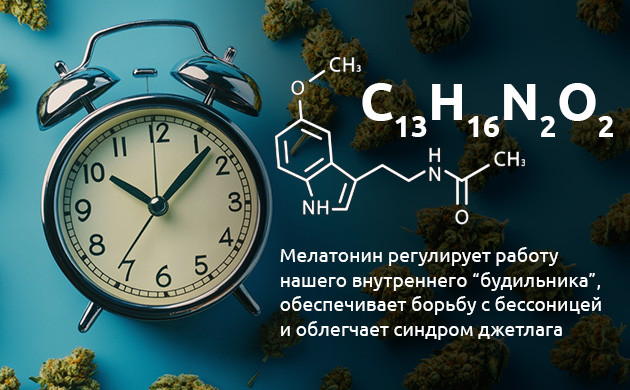 Свойства мелатонина Гормон мелатонин