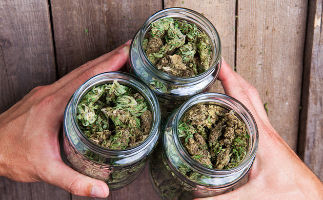 Как правильно хранить и измельчать шишки