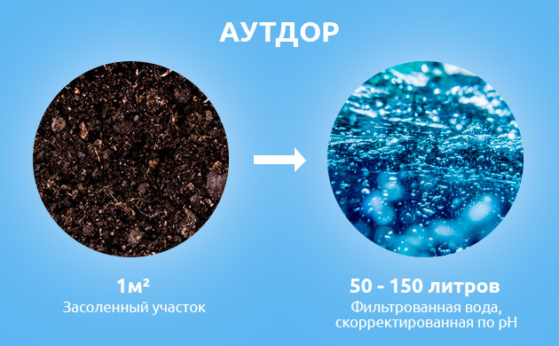 Как промывать засоленный куст в аутдоре Количество воды для промывки грунта в аутдоре