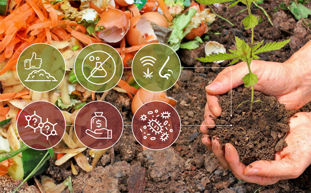 Плюсы органики для конопли