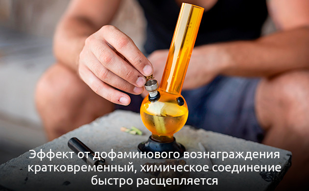 Уровень дофамина при употреблении марихуаны