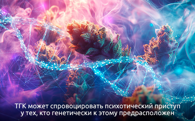 Редкость галлюцинаций от каннабиса Психические расстройства и каннабис