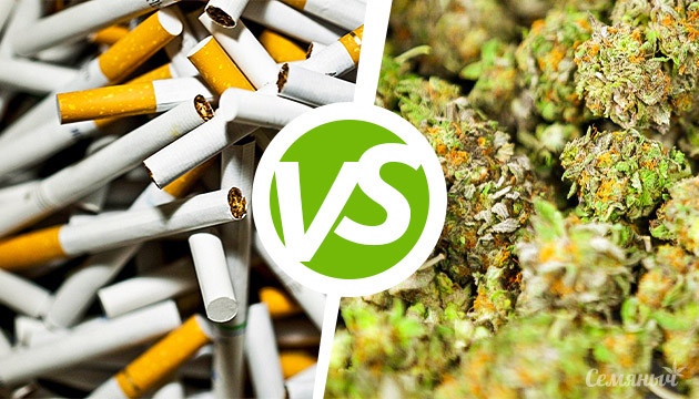 Сигареты или марихуана