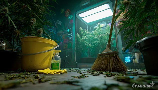 Чистый гроубокс для здорового роста конопли и высокого урожая