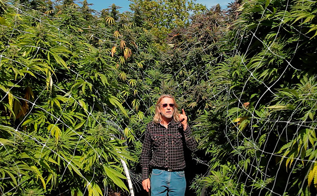 Хорхе Сервантес