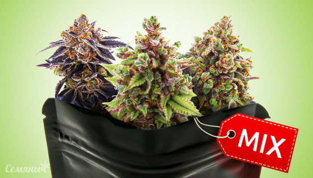 Миксы от Семяныча