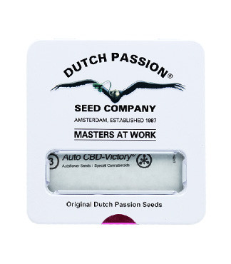 Auto CBD-Victory fem (Dutch Passion)
