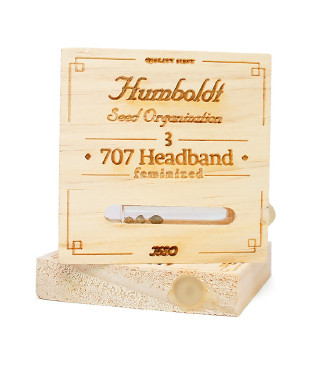707 Headband fem (Humboldt Seeds)