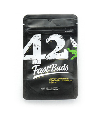 Mexican Airlines Auto fem (FastBuds)