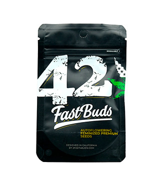 Californian Snow Auto fem (FastBuds)