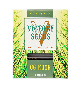 OG Kush fem (Victory Seeds)