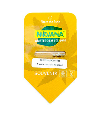 Girl Scout Cookies Auto fem (Nirvana Seeds)
