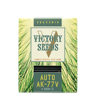 Auto AK-77V fem (Victory Seeds)