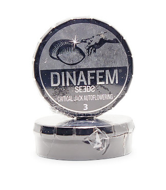 Critical Jack Autoflowering fem (Dinafem Seeds)