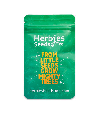 Critical XXL fem (Herbies Seeds)