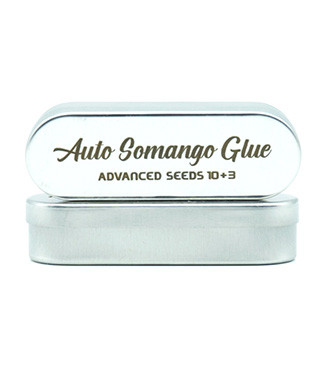 Auto Somango Glue fem (Advanced Seeds)