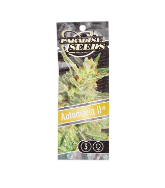 Automaria II fem (Paradise Seeds)